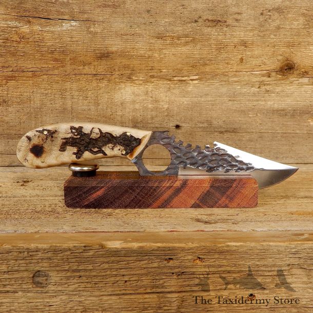 Kodiak XL Hunting Knife For Sale #19196 @ The Taxidermy Store