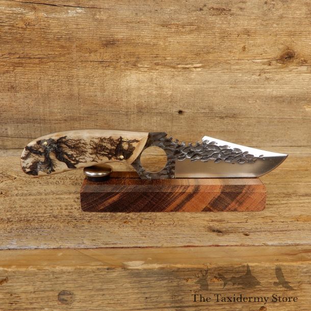 Kodiak XL Hunting Knife For Sale #19197 @ The Taxidermy Store