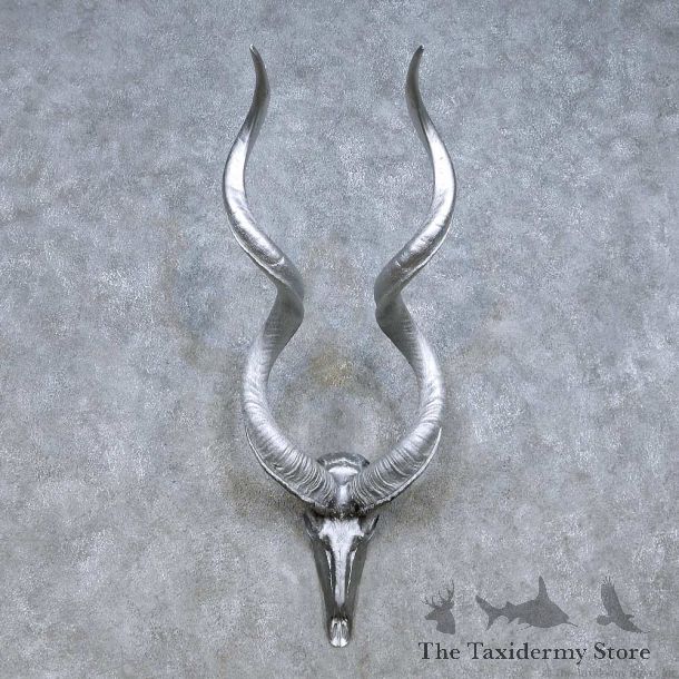 Kudu Painted Skull Horn Taxidermy Mount For Sale #13997 @ The Taxidermy Store