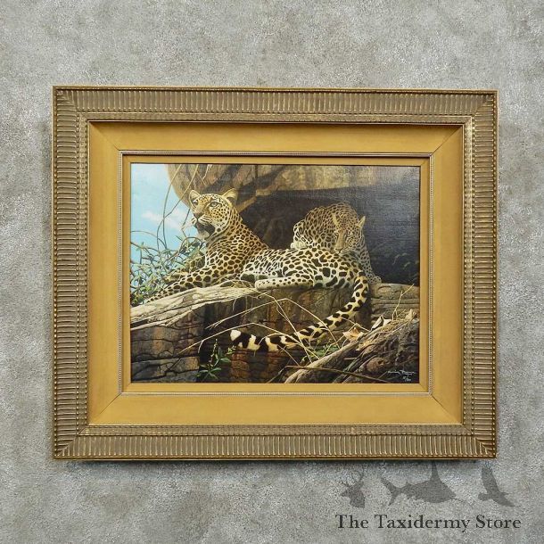 Leopard Pair Print For Sale #15754 @ The Taxidermy Store