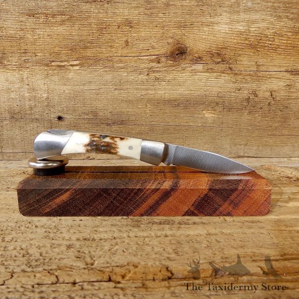 Mini Folding Pocket Clip with Elk Antler Handle For Sale #19225 @ The Taxidermy Store