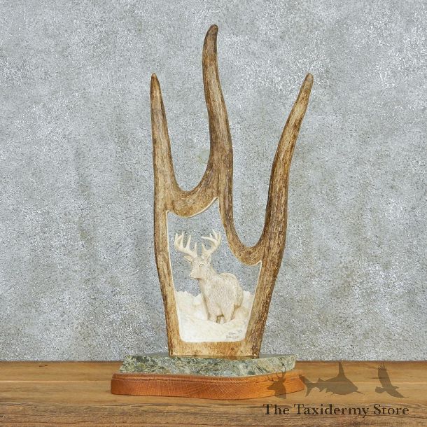 Moose Antler Whitetail Carving #12946 For Sale @ The Taxidermy Store