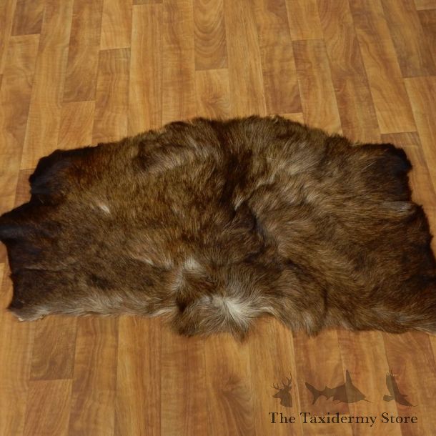 Moose Back Hide Taxidermy Tanned Skin For Sale #17454 @ The Taxidermy Store