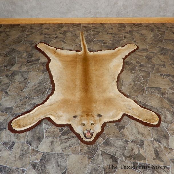 Mountain Lion Full-Size Rug For Sale #19264 @ The Taxidermy Store