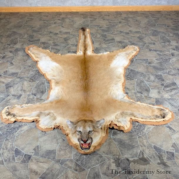 Mountain Lion Full-Size Rug For Sale #24005 @ The Taxidermy Store