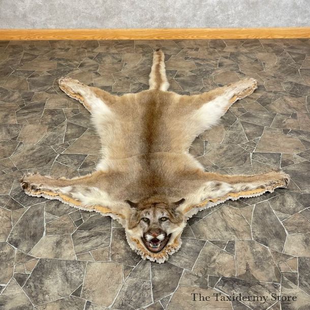 Mountain Lion Full-Size Rug For Sale #24610 @ The Taxidermy Store