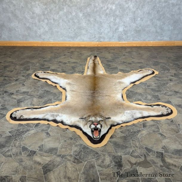 Mountain Lion Full-Size Rug For Sale #28857 @ The Taxidermy Store