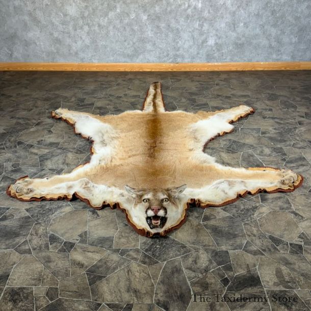 Mountain Lion Full-Size Rug For Sale #26309 @ The Taxidermy Store