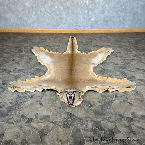 Mountain Lion Full-Size Rug For Sale #24314 @ The Taxidermy Store