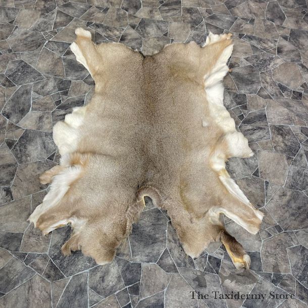 Mule Deer Tanned Hide For Sale #25265 @ The Taxidermy Store