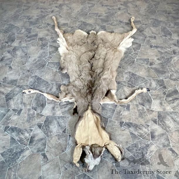 Mule Deer Tanned Hide For Sale #27916 @ The Taxidermy Store