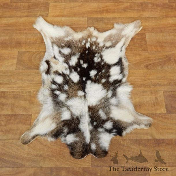 Multi-Color Goat Hide Taxidermy Tanned Skin For Sale #17878 @ The Taxidermy Store