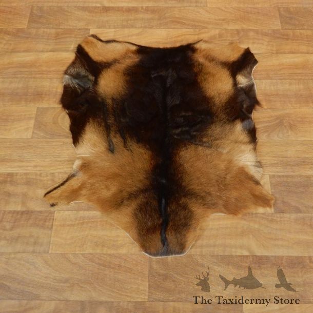 Multi-Color Goat Hide Taxidermy Tanned Skin For Sale #17883 @ The Taxidermy Store