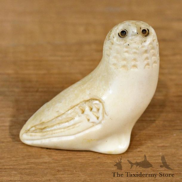 Native Carved Ivory Owl Figurine #12080 For Sale @ The Taxidermy Store