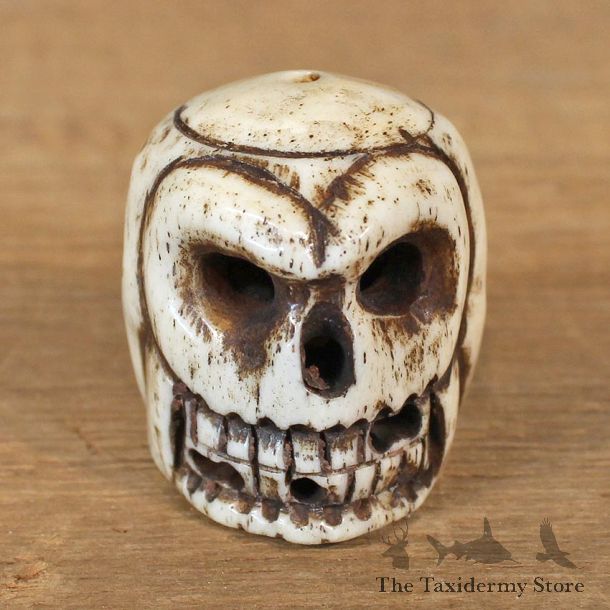 Authentic Native Ivory Carved Skull Figurine #12091 For Sale @ The Taxidermy Store