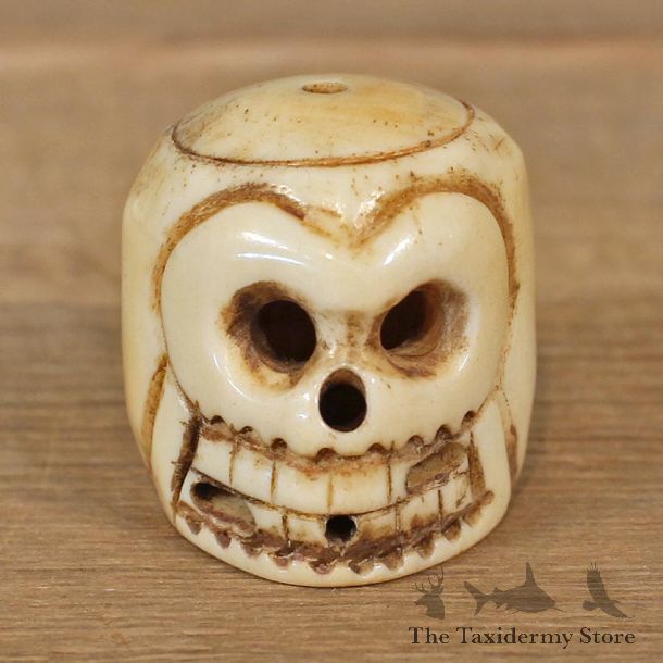 Authentic Native Ivory Carved Skull Figurine #12092 For Sale @ The Taxidermy Store