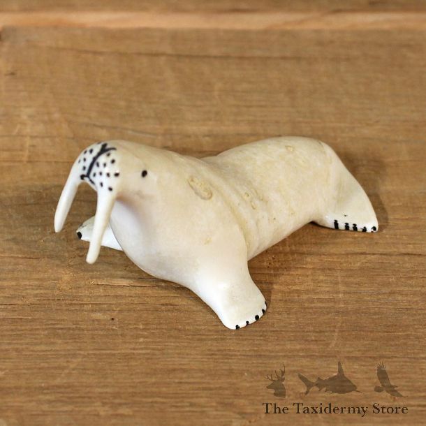 Native Ivory Walrus Figurine #12061 For Sale @ The Taxidermy Store