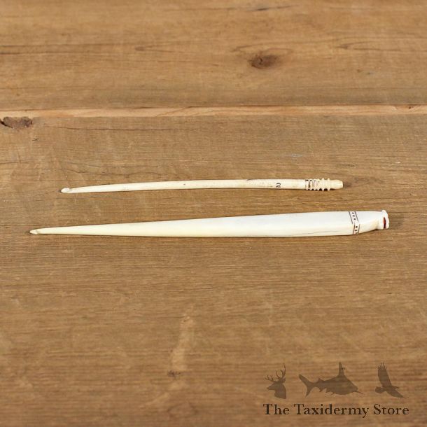Authentic Native Carved Ivory Crochet Hooks #12109 For Sale @ The Taxidermy Store