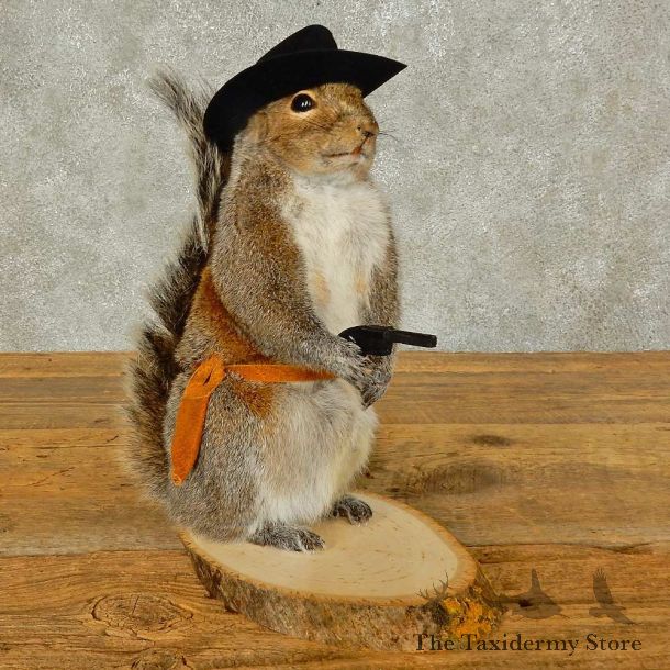 Cowboy Squirrel Novelty Mount For Sale #16309 @ The Taxidermy Store