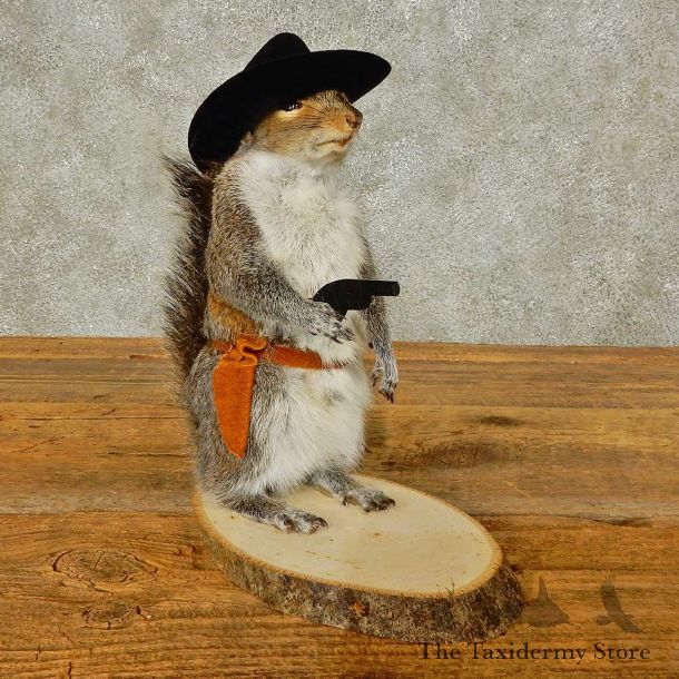 Cowboy Squirrel Novelty Mount For Sale #16310 @ The Taxidermy Store