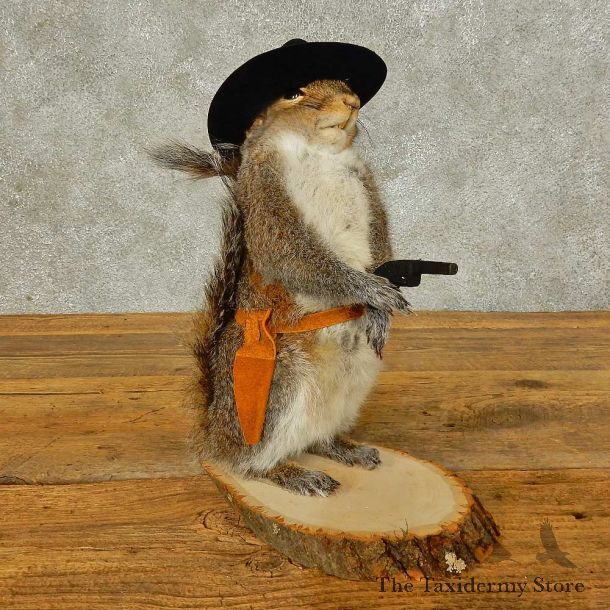 Cowboy Squirrel Novelty Mount For Sale #16311 @ The Taxidermy Store