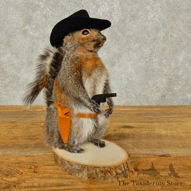 Cowboy Squirrel Novelty Mount For Sale #16312 @ The Taxidermy Store