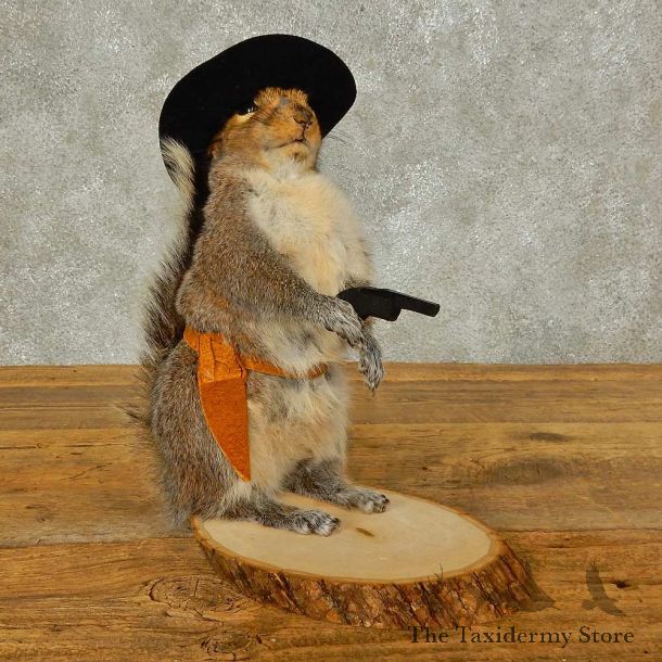 Cowboy Squirrel Novelty Mount For Sale #16313 @ The Taxidermy Store