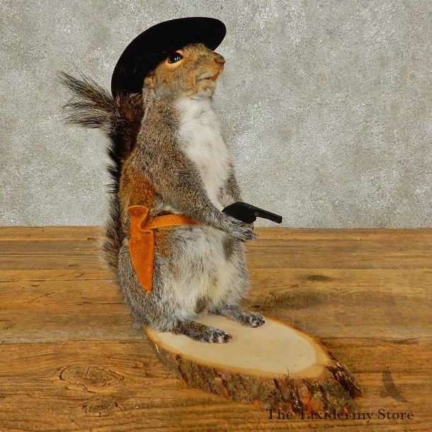 Cowboy Squirrel Novelty Mount For Sale #16314 @ The Taxidermy Store