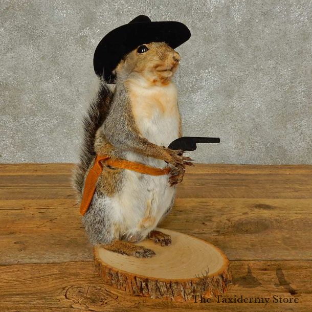 Cowboy Squirrel Novelty Mount For Sale #16315 @ The Taxidermy Store