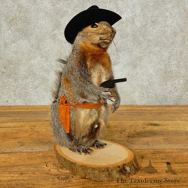 Cowboy Squirrel Novelty Taxidermy Mount For Sale