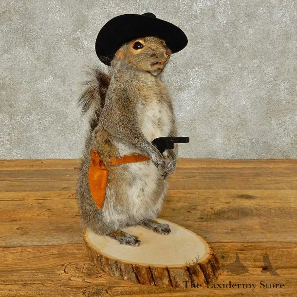Cowboy Squirrel Novelty Mount For Sale #16317 @ The Taxidermy Store