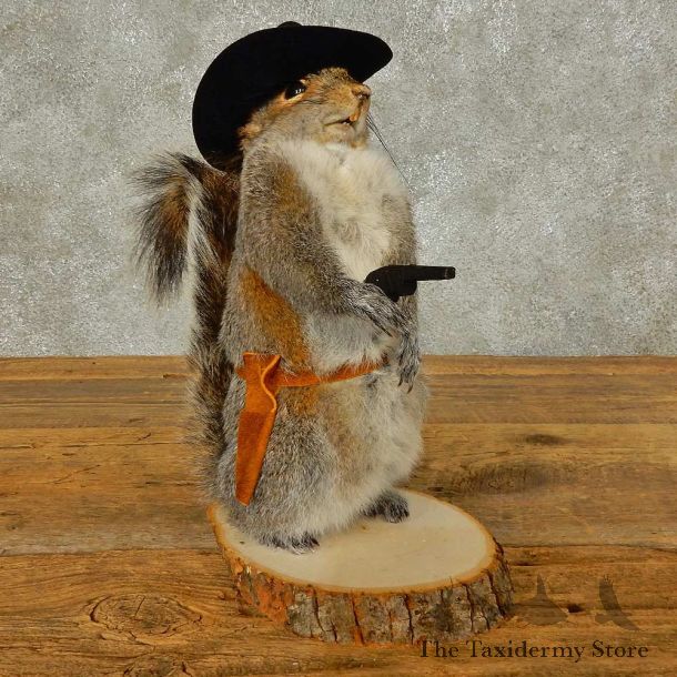 Cowboy Squirrel Novelty Mount For Sale #16318 @ The Taxidermy Store