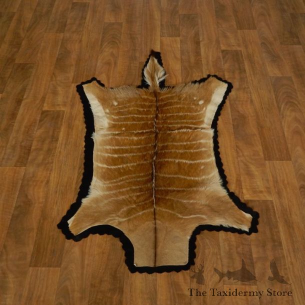 Nyala Rug Mount For Sale #17280 @ The Taxidermy Store