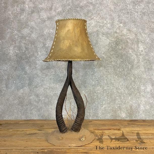 Nyala Horn Lamp For Sale #21283 @ The Taxidermy Store