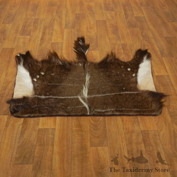 Nyala Rug Mount For Sale #17505 @ The Taxidermy Store