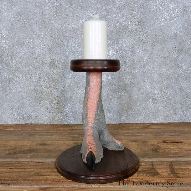 Ostrich Foot Dish Taxidermy Mount For Sale