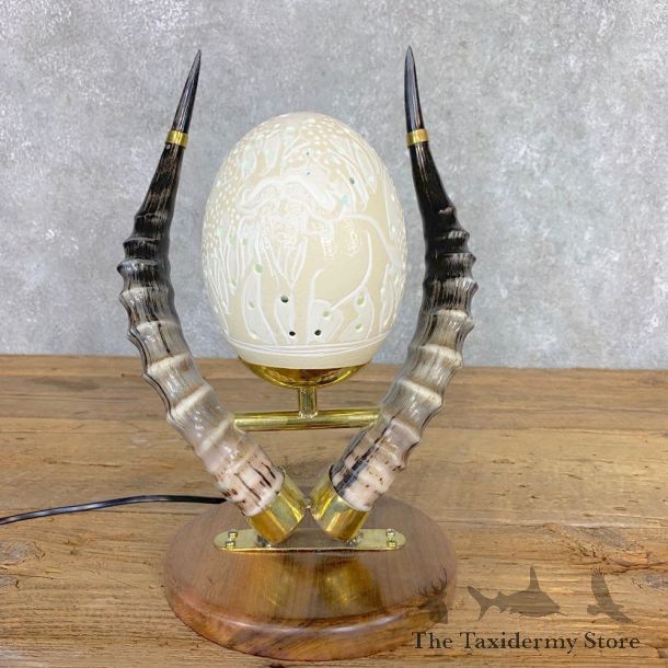 Ostrich Egg Lamp Safari Decor For Sale #21716 @ The Taxidermy Store
