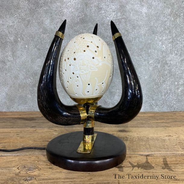 Ostrich Egg Lamp Safari Decor For Sale #22058 @ The Taxidermy Store