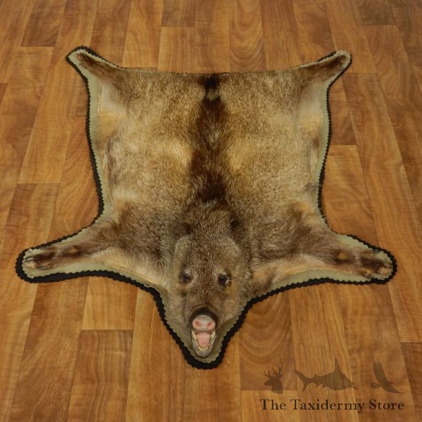 Javelina Full Rug Taxidermy #17431 For Sale @ The Taxidermy Store