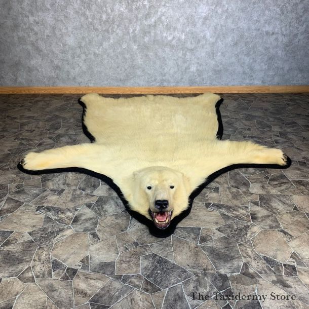Polar Bear Taxidermy Rug #21235 For Sale @ The Taxidermy Store