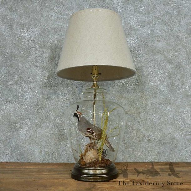 Quail Lamp Life-Size Taxidermy Bird Mount #13518 For Sale @ The Taxidermy Store