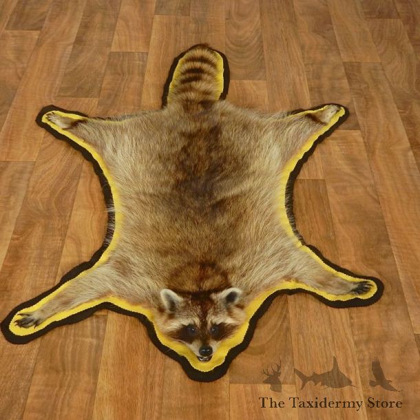 Raccoon Full-Size Rug Mount For Sale #17429 @ The Taxidermy Store