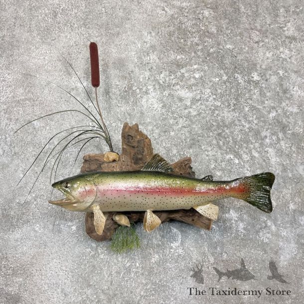 Rainbow Trout Fish Mount For Sale #27392 @ The Taxidermy Store