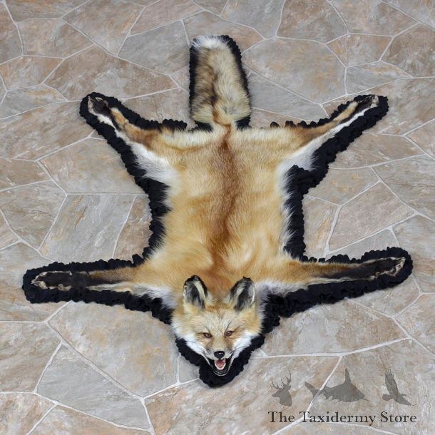 Red Fox Taxidermy Rug For Sale #12342 For Sale @ The Taxidermy Store