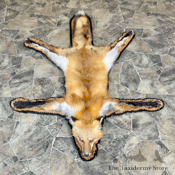 Red Fox Full Rug Mount For Sale #28823 @ The Taxidermy Store