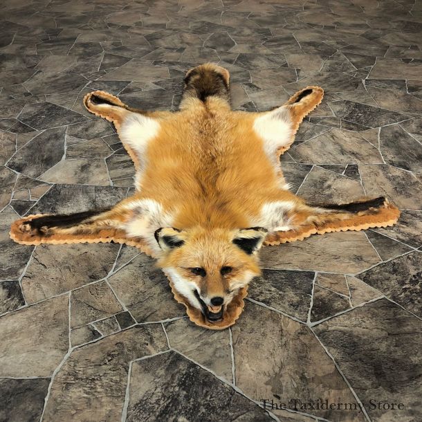 Red Fox Rug Taxidermy Mount For Sale #20077 @ The Taxidermy Store