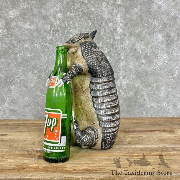 Reproduction Armadillo Life-Size Mount For Sale #25226 @ The Taxidermy Store