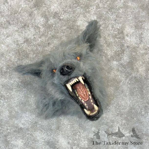 Reproduction Werewolf Shoulder Mount For Sale #29166 @ The Taxidermy Store