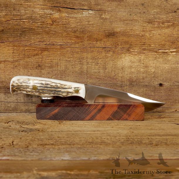 Royal 7 Clip Point Hunting Knife For Sale #19174 @ The Taxidermy Store