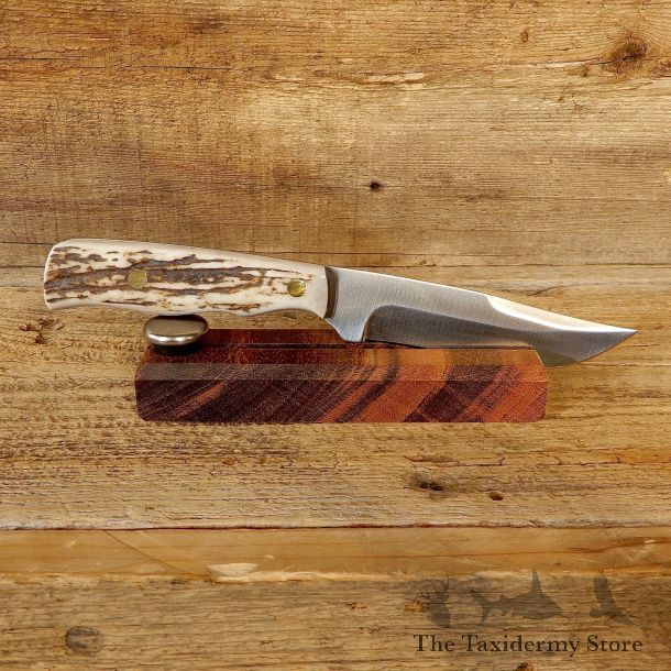 Royal 7 Clip Point Hunting Knife For Sale #19202 @ The Taxidermy Store